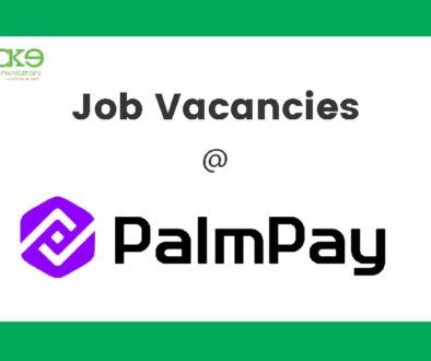 PalmPay Vacancies